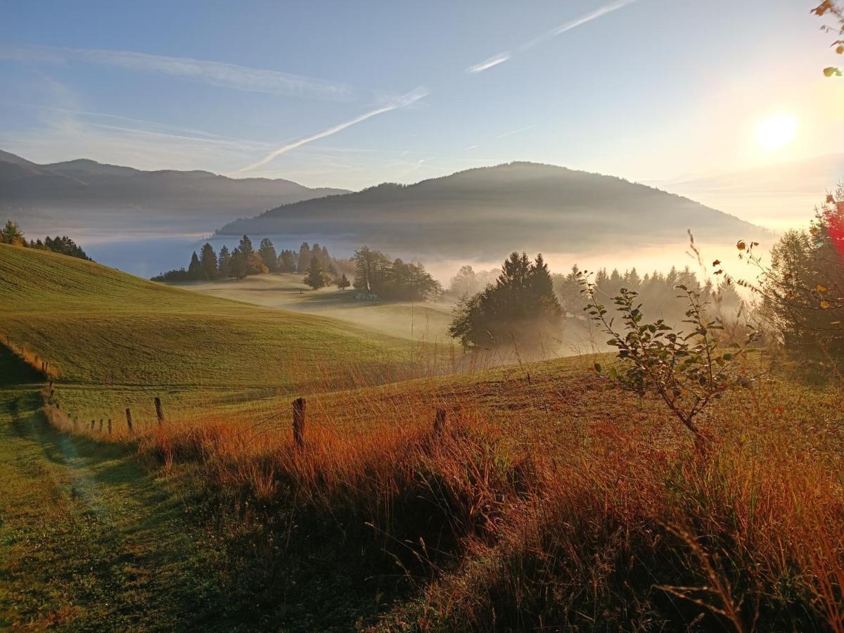 Apartmaji Hodak Bohinj ภายนอก รูปภาพ