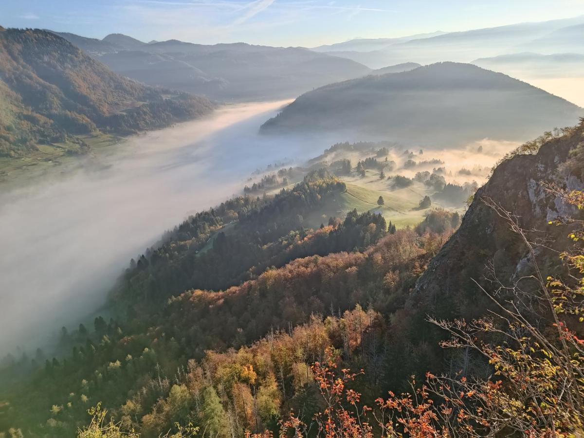 Apartmaji Hodak Bohinj ภายนอก รูปภาพ